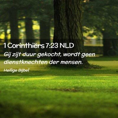 Picture 02 - 1 Corinthiërs 7:23 NLD - Gij zijt duur gekocht, wordt geen dienstknechten - Bible Verse Picture