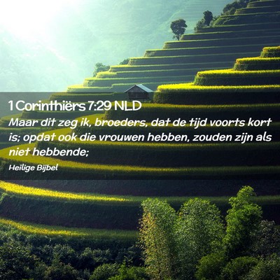 Picture 02 - 1 Corinthiërs 7:29 NLD - Maar dit zeg ik, broeders, dat de tijd voorts - Bible Verse Picture