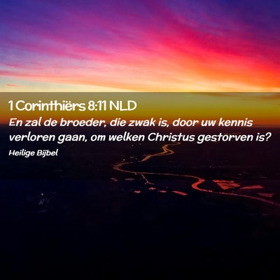 Picture 02 - 1 Corinthiërs 8:11 NLD - En zal de broeder, die zwak is, door uw kennis - Bible Verse Picture