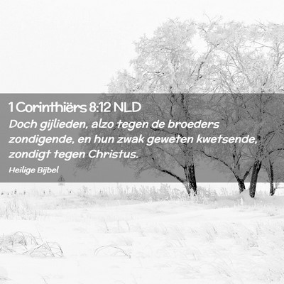 Picture 02 - 1 Corinthiërs 8:12 NLD - Doch gijlieden, alzo tegen de broeders - Bible Verse Picture