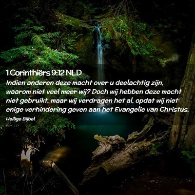 Picture 02 - 1 Corinthiërs 9:12 NLD - Indien anderen deze macht over u deelachtig zijn, - Bible Verse Picture