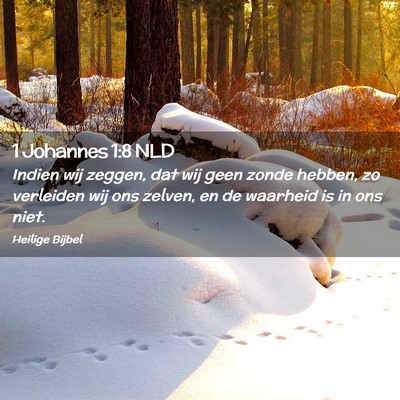 Picture 02 - 1 Johannes 1:8 NLD - Indien wij zeggen, dat wij geen zonde hebben, zo - Bible Verse Picture