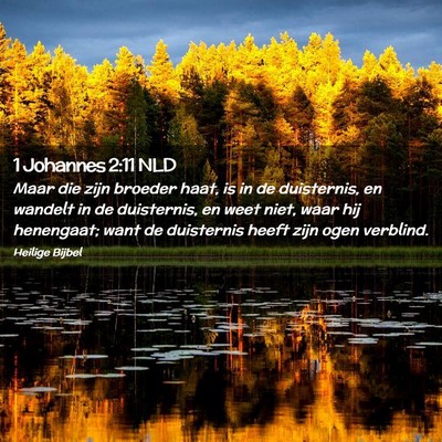 Picture 02 - 1 Johannes 2:11 NLD - Maar die zijn broeder haat, is in de duisternis, - Bible Verse Picture