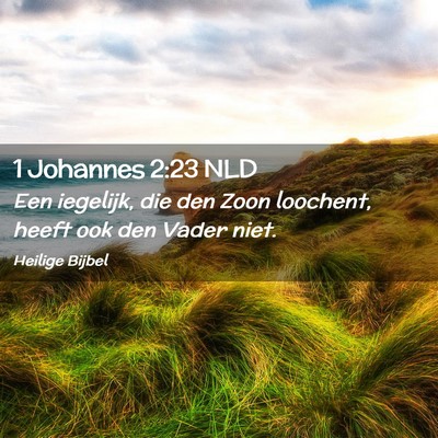 Picture 02 - 1 Johannes 2:23 NLD - Een iegelijk, die den Zoon loochent, heeft ook - Bible Verse Picture