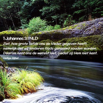 Picture 02 - 1 Johannes 3:1 NLD - Ziet, hoe grote liefde ons de Vader gegeven - Bible Verse Picture