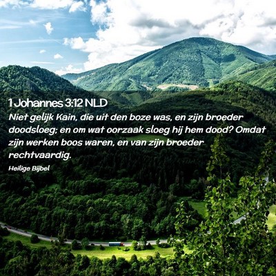 Picture 02 - 1 Johannes 3:12 NLD - Niet gelijk Kain, die uit den boze was, en zijn - Bible Verse Picture