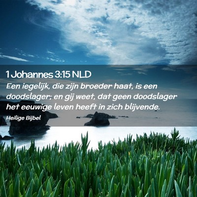 Picture 02 - 1 Johannes 3:15 NLD - Een iegelijk, die zijn broeder haat, is een - Bible Verse Picture