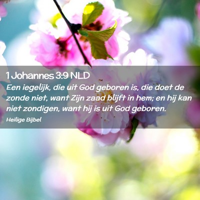 Picture 02 - 1 Johannes 3:9 NLD - Een iegelijk, die uit God geboren is, die doet de - Bible Verse Picture