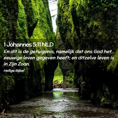 Picture 02 - 1 Johannes 5:11 NLD - En dit is de getuigenis, namelijk dat ons God het - Bible Verse Picture