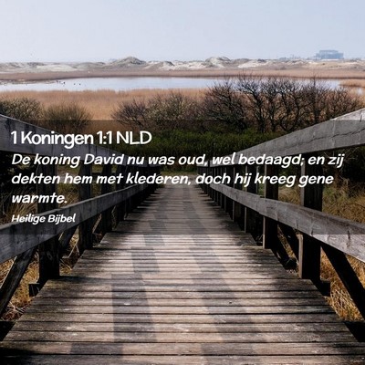 Picture 02 - 1 Koningen 1:1 NLD - De koning David nu was oud, wel bedaagd; en zij - Bible Verse Picture