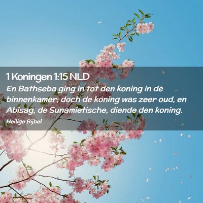 Picture 02 - 1 Koningen 1:15 NLD - En Bathseba ging in tot den koning in de - Bible Verse Picture