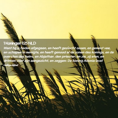 Picture 02 - 1 Koningen 1:25 NLD - Want hij is heden afgegaan, en heeft geslacht - Bible Verse Picture