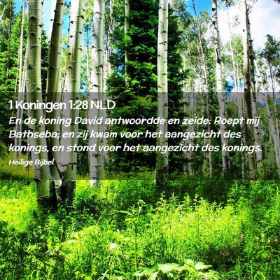 Picture 02 - 1 Koningen 1:28 NLD - En de koning David antwoordde en zeide: Roept mij - Bible Verse Picture