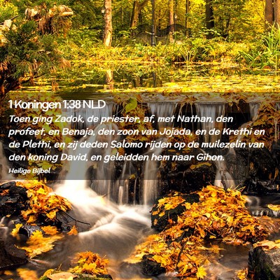 Picture 02 - 1 Koningen 1:38 NLD - Toen ging Zadok, de priester, af, met Nathan, den - Bible Verse Picture