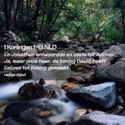 Picture 02 - 1 Koningen 1:43 NLD - En Jonathan antwoordde en zeide tot Adonia: Ja, - Bible Verse Picture