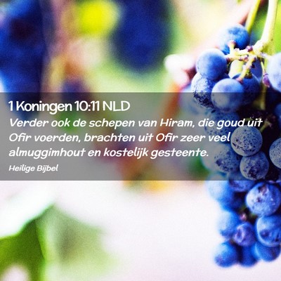 Picture 02 - 1 Koningen 10:11 NLD - Verder ook de schepen van Hiram, die goud uit - Bible Verse Picture