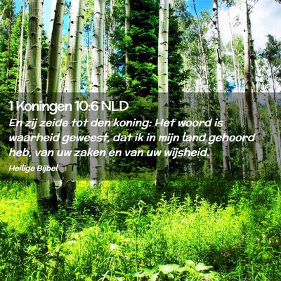 Picture 02 - 1 Koningen 10:6 NLD - En zij zeide tot den koning: Het woord is - Bible Verse Picture