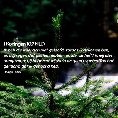 Picture 02 - 1 Koningen 10:7 NLD - Ik heb die woorden niet geloofd, totdat ik - Bible Verse Picture