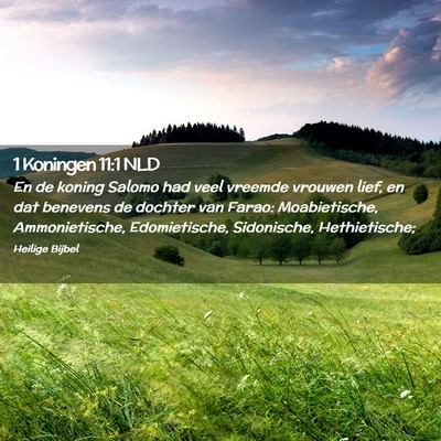 Picture 02 - 1 Koningen 11:1 NLD - En de koning Salomo had veel vreemde vrouwen - Bible Verse Picture
