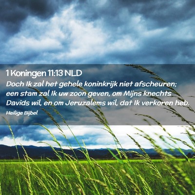 Picture 02 - 1 Koningen 11:13 NLD - Doch Ik zal het gehele koninkrijk niet - Bible Verse Picture