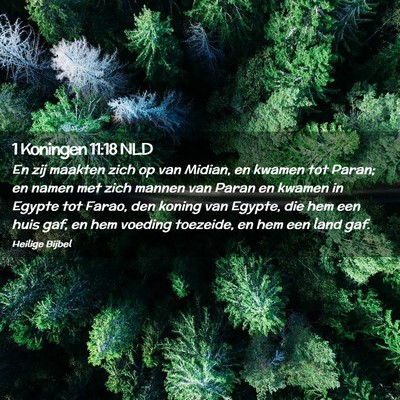 Picture 02 - 1 Koningen 11:18 NLD - En zij maakten zich op van Midian, en kwamen tot - Bible Verse Picture
