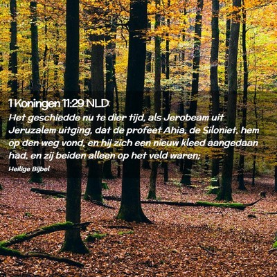 Picture 02 - 1 Koningen 11:29 NLD - Het geschiedde nu te dier tijd, als Jerobeam uit - Bible Verse Picture