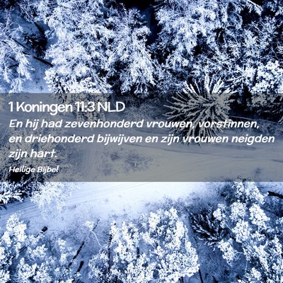 Picture 02 - 1 Koningen 11:3 NLD - En hij had zevenhonderd vrouwen, vorstinnen, en - Bible Verse Picture