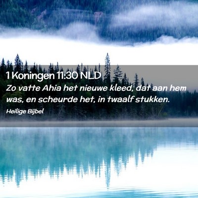 Picture 02 - 1 Koningen 11:30 NLD - Zo vatte Ahia het nieuwe kleed, dat aan hem was, - Bible Verse Picture