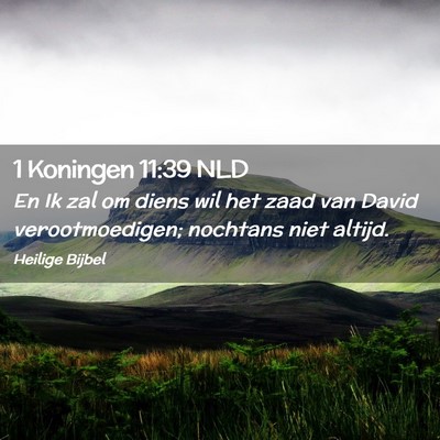 Picture 02 - 1 Koningen 11:39 NLD - En Ik zal om diens wil het zaad van David - Bible Verse Picture
