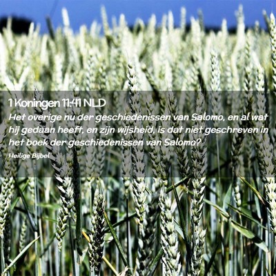 Picture 02 - 1 Koningen 11:41 NLD - Het overige nu der geschiedenissen van Salomo, en - Bible Verse Picture