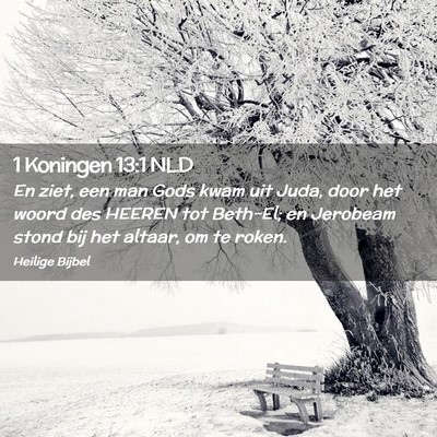 Picture 02 - 1 Koningen 13:1 NLD - En ziet, een man Gods kwam uit Juda, door het - Bible Verse Picture