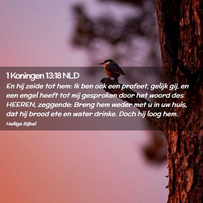 Picture 02 - 1 Koningen 13:18 NLD - En hij zeide tot hem: Ik ben ook een profeet, - Bible Verse Picture
