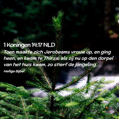 Picture 02 - 1 Koningen 14:17 NLD - Toen maakte zich Jerobeams vrouw op, en ging - Bible Verse Picture