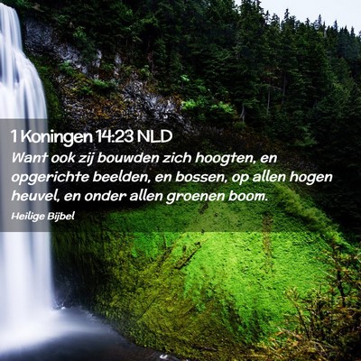 Picture 02 - 1 Koningen 14:23 NLD - Want ook zij bouwden zich hoogten, en opgerichte - Bible Verse Picture