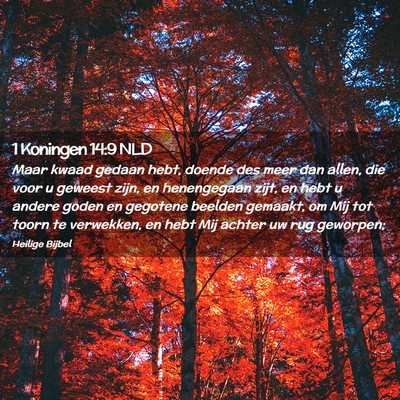 Picture 02 - 1 Koningen 14:9 NLD - Maar kwaad gedaan hebt, doende des meer dan - Bible Verse Picture