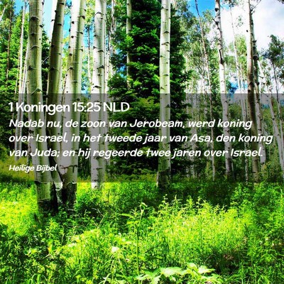 Picture 02 - 1 Koningen 15:25 NLD - Nadab nu, de zoon van Jerobeam, werd koning over - Bible Verse Picture