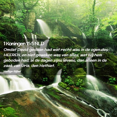 Picture 02 - 1 Koningen 15:5 NLD - Omdat David gedaan had wat recht was in de ogen - Bible Verse Picture
