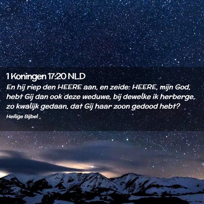 Picture 02 - 1 Koningen 17:20 NLD - En hij riep den HEERE aan, en zeide: HEERE, mijn - Bible Verse Picture