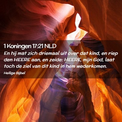 Picture 02 - 1 Koningen 17:21 NLD - En hij mat zich driemaal uit over dat kind, en - Bible Verse Picture