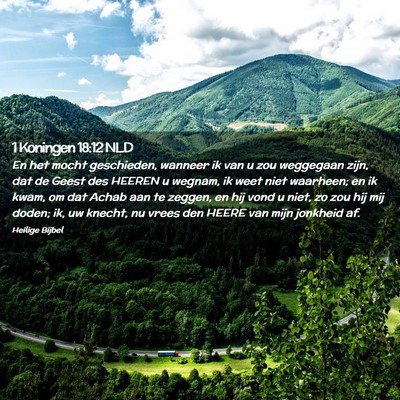 Picture 02 - 1 Koningen 18:12 NLD - En het mocht geschieden, wanneer ik van u zou - Bible Verse Picture