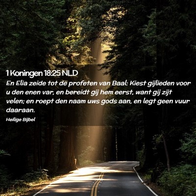 Picture 02 - 1 Koningen 18:25 NLD - En Elia zeide tot de profeten van Baal: Kiest - Bible Verse Picture