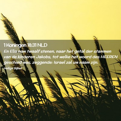 Picture 02 - 1 Koningen 18:31 NLD - En Elia nam twaalf stenen, naar het getal der - Bible Verse Picture