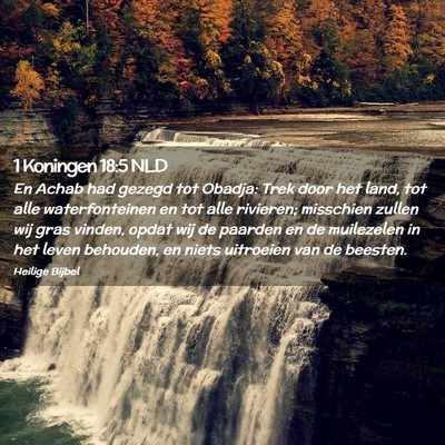 Picture 02 - 1 Koningen 18:5 NLD - En Achab had gezegd tot Obadja: Trek door het - Bible Verse Picture