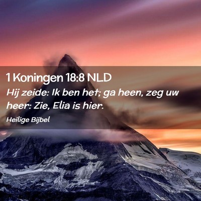 Picture 02 - 1 Koningen 18:8 NLD - Hij zeide: Ik ben het; ga heen, zeg uw heer: Zie, - Bible Verse Picture