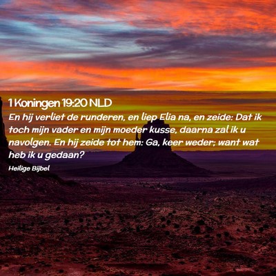 Picture 02 - 1 Koningen 19:20 NLD - En hij verliet de runderen, en liep Elia na, en - Bible Verse Picture