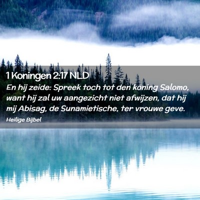 Picture 02 - 1 Koningen 2:17 NLD - En hij zeide: Spreek toch tot den koning Salomo, - Bible Verse Picture