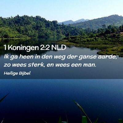 Picture 02 - 1 Koningen 2:2 NLD - Ik ga heen in den weg der ganse aarde, zo wees - Bible Verse Picture