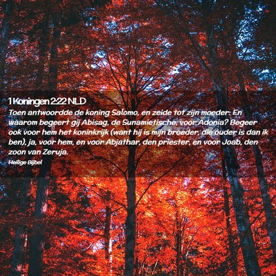 Picture 02 - 1 Koningen 2:22 NLD - Toen antwoordde de koning Salomo, en zeide tot - Bible Verse Picture