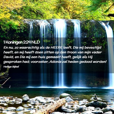 Picture 02 - 1 Koningen 2:24 NLD - En nu, zo waarachtig als de HEERE leeft, Die mij - Bible Verse Picture