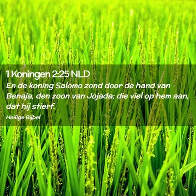 Picture 02 - 1 Koningen 2:25 NLD - En de koning Salomo zond door de hand van Benaja, - Bible Verse Picture
